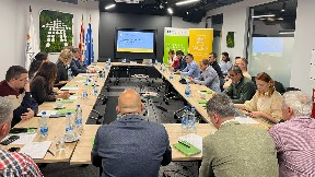 Negativne cene struje